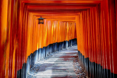 Learning Pathways Image